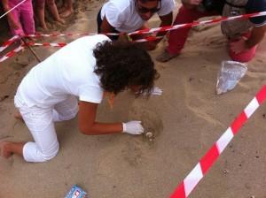 La spiaggia di Maruggio in zona “Capoccia” diventerà la culla di tartarughe “Caretta Caretta”.