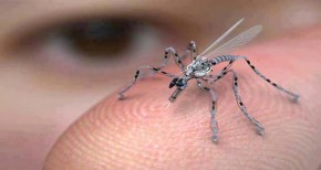 drone-zanzara