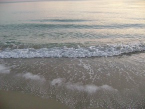 mare