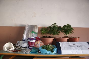 manduria-cannabis-armadio