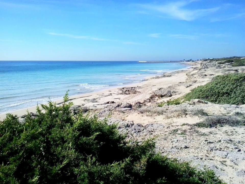 Campomarino di Maruggio Spiaggia Giannarelli 10 novembre 2015 (Estate di San Martino)