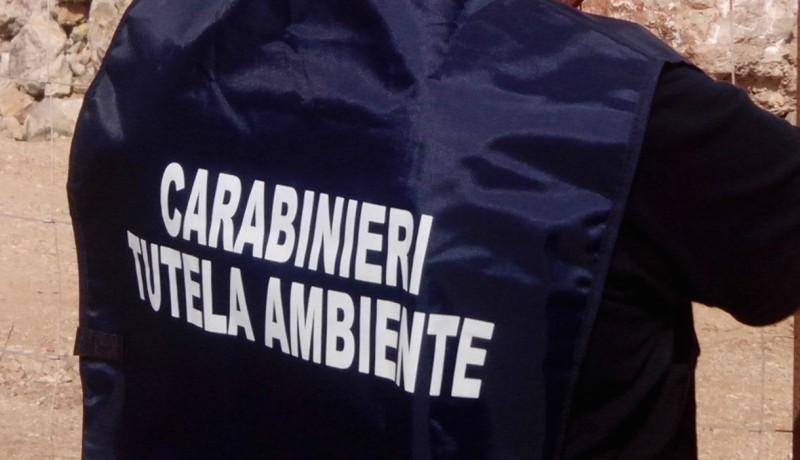 20160730_noe_carabinieri_tutela_ambientale_800