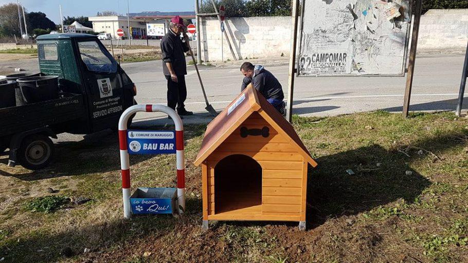 Maruggio: "Un rifugio per ogni zampa"  cucce per dare riparo a cani randagi