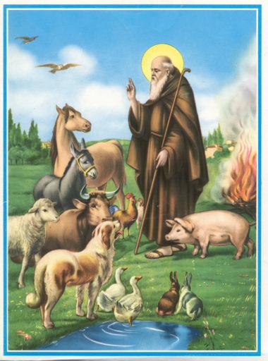 Domani si festeggia Sant'Antonio Abate, la storia del patrono degli animali