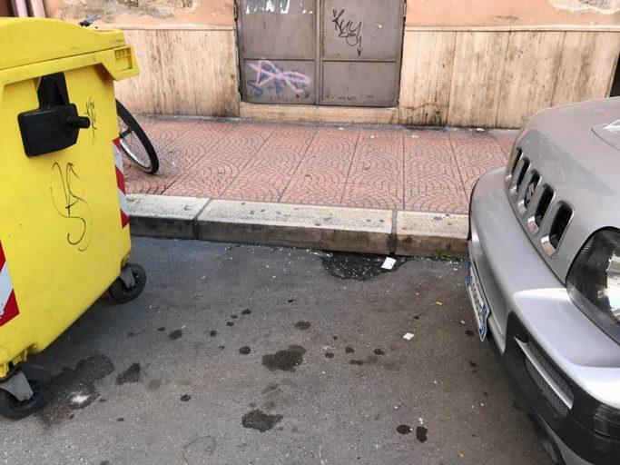 Topi in via Crispi a Taranto: i commercianti chiedono interventi urgenti
