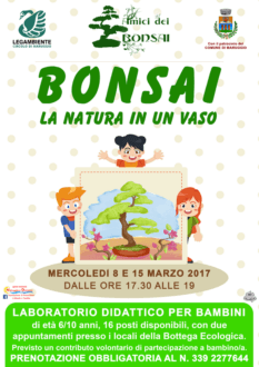“Bonsai, la natura in un vaso” laboratorio didattico-creativo per bambini