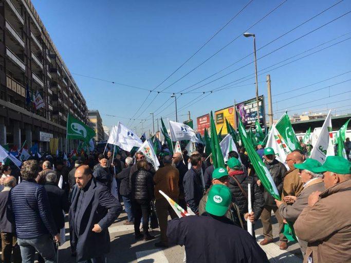 Emergenza Xylella: duemila agricoltori ieri  a Bari per chiedere interventi concreti