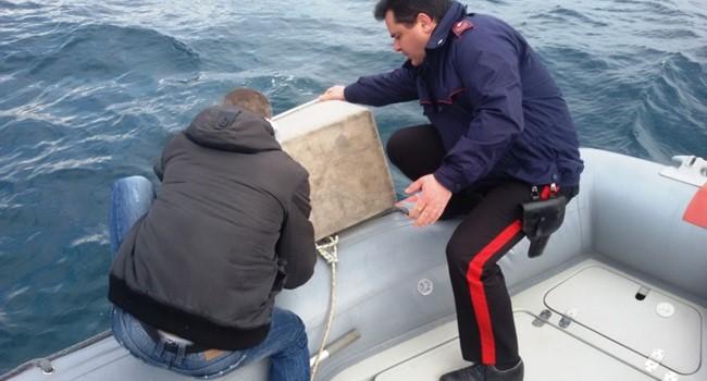 Pulsano (Ta): Sorpreso con oltre 2000 esemplari di ricci vivi nel portabagagli. Sanzionato un barese 1 Pulsano (Ta): Sorpreso con oltre 2000 esemplari di ricci vivi nel portabagagli. Sanzionato un barese
