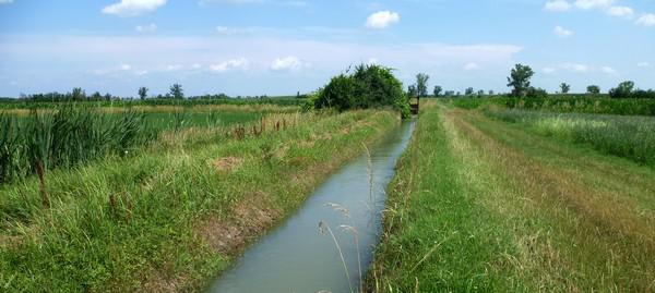 Depuratore Manduria – Sava: per Fare Verde Puglia bene riuso acque depurate in agricoltura