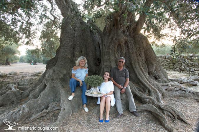 Manduria: Premiato "il Barone", l'ulivo millenario di Masseria Fellicchie 1 Manduria: Premiato "il Barone", l'ulivo millenario di Masseria Fellicchie
