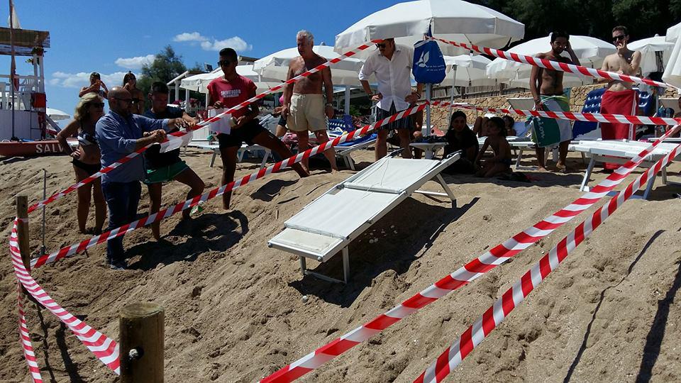 Rivenute uova di tartaruga marina sulla spiaggia in un lido a Campomarino di Maruggio 1 Rivenute uova di tartaruga marina sulla spiaggia in un lido a Campomarino di Maruggio
