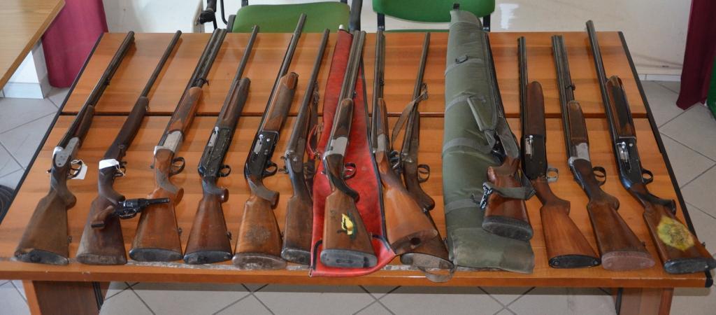 Daino ucciso a Manduria: denunciate dalla Polizia di Stato altre due persone e sequestrati undici fucili