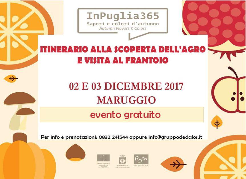 2 e 3 Dicembre, In Puglia365 - Alla scoperta dell'agro di Maruggio con visita al frantoio.