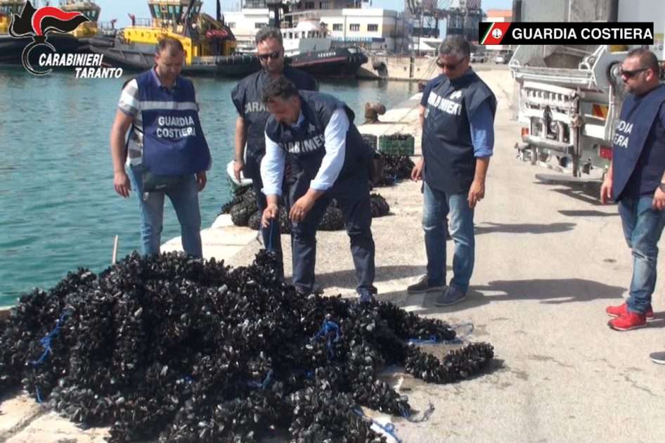 Taranto- Carabinieri e Guardia Costiera denunciano 8 persone per produzione, detenzione e commercializzazione di cozze pericolose illecitamente allevate nel 1° seno del Mar Piccolo.