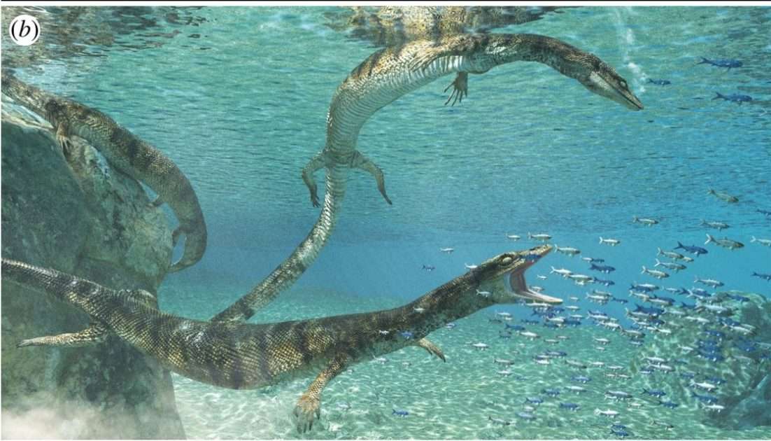 Primitivus manduriensis, la lucertola preistorica scoperta dovuta ad un fossile ritrovato tempo fa in agro di Nardò