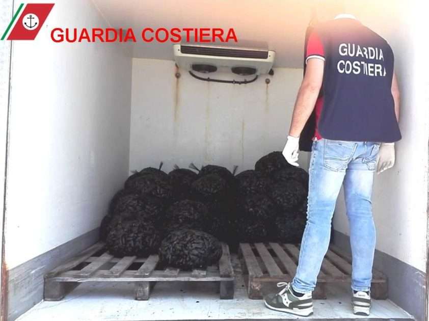 Guardia Costiera sequestra 6 quintali di cozze nere nocive per la salute