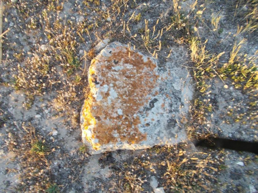 Maruggio: da Artemis Bendis alla Madonnina dell'Altomare. I resti di un antico tempio pagano. 5 Maruggio: da Artemis Bendis alla Madonnina dell'Altomare. I resti di un antico tempio pagano.