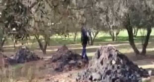 Manduria - Rifiuti pericolosi in un oliveto, sequestrata azienda di calcestruzzi