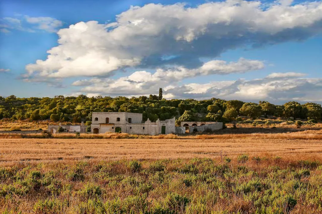 Andiamo a mietere il grano , Masseria dei Preti (li Prjèviti) - Scatto rubato a Tommaso Duggento