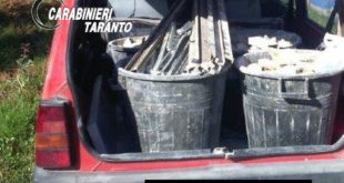 Auto e materiale di risulta