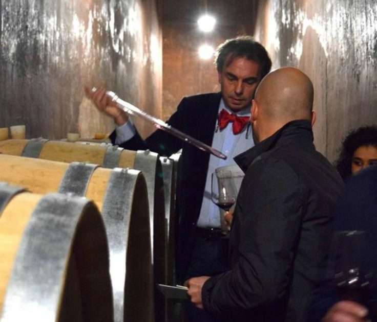 Manduria, imprenditore del vino beffato: acqua al posto del vino Zinfandel