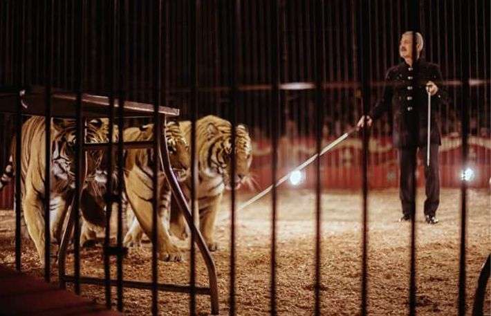 Rissa tra animalisti e dipendenti del circo Marina Orfei a Surbo in provincia di Lecce