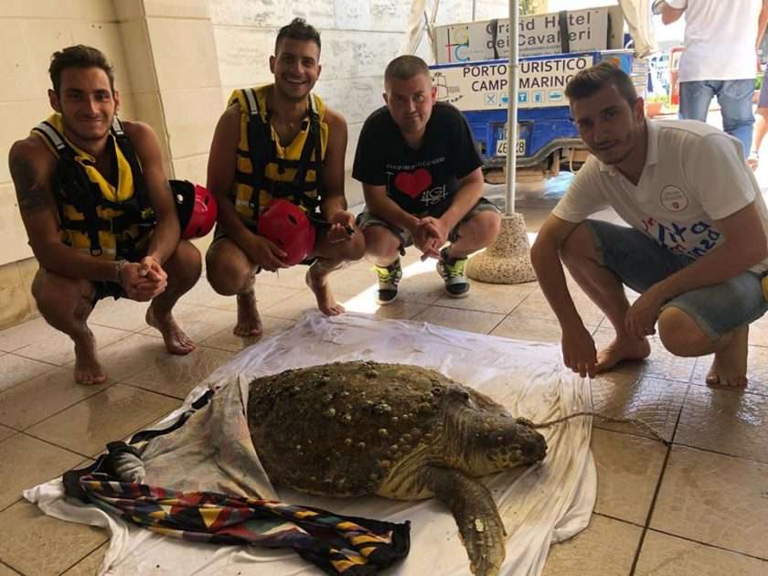 Campomarino di Maruggio: tartaruga tratta in salvo dai ragazzi di "Lido dei Cavalieri" | Le FOTO il VIDEO