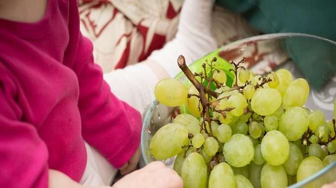 Leporano - Si ripete la tragedia: bimbo di due anni muore soffocato da un acino d'uva