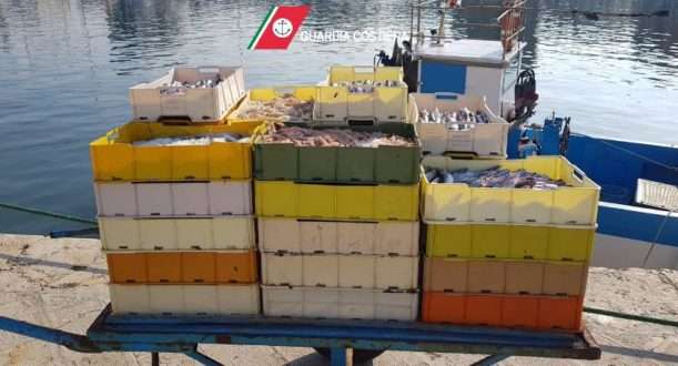Guardia Costiera: operazione "Made in Italy", sequestrata una tonnellata di prodotto ittico