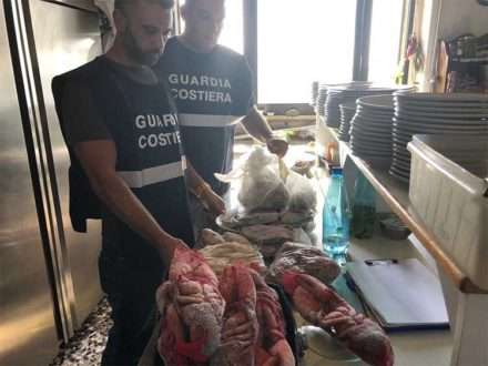 Guardia Costiera: operazione "Made in Italy", sequestrata una tonnellata di prodotto ittico