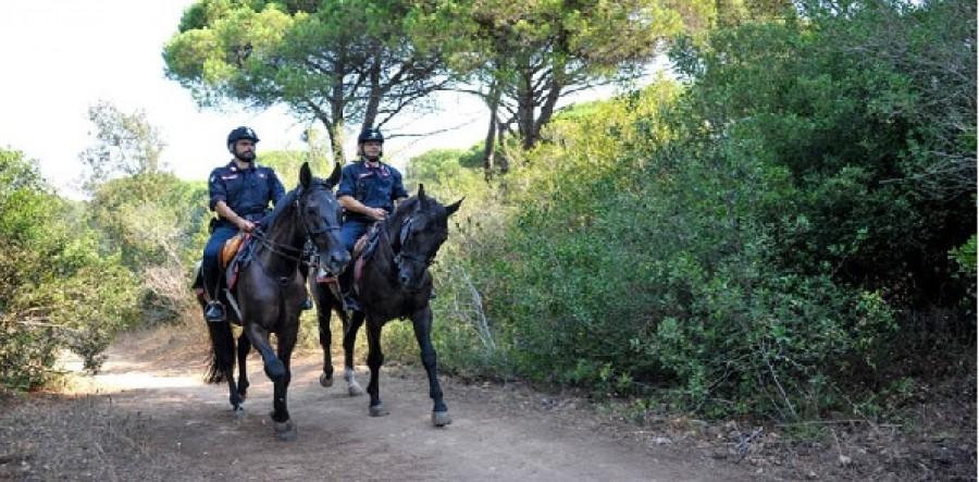 Giornata dell’Unità Nazionale e delle Forze Armate: ''Caserme aperte" dei carabinieri a Taranto