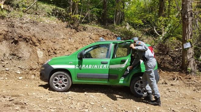 Bracconaggio nel territorio tarantino: l’attività di contrasto dei Carabinieri Forestali