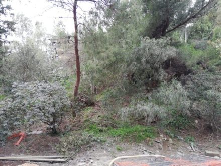 "Collinette ILVA”: bomba ecologica sequestrata dai Carabinieri del NOE