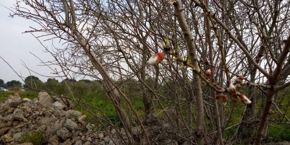 Escursioni, laboratori e degustazioni nelle Terre del Primitivo
