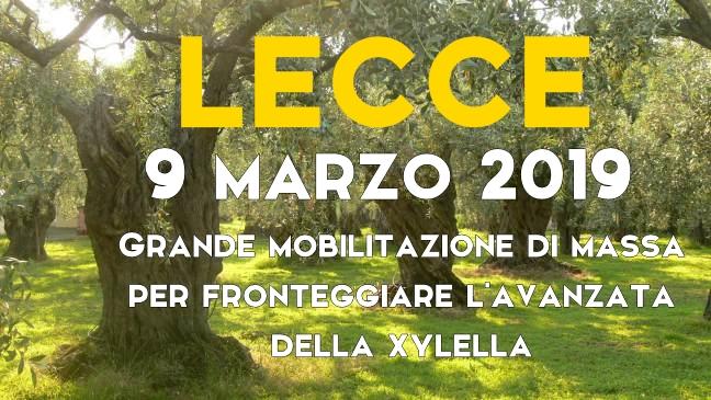 Confagricoltura, Cia, Copagri mobilitazione contro la Xylella il 9 marzo 2019 a Lecce