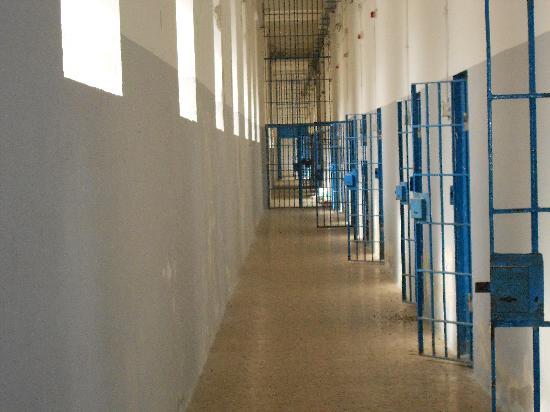 Rimangono in carcere i componenti della "banda degli orfanelli", esclusi gli arresti domiciliari