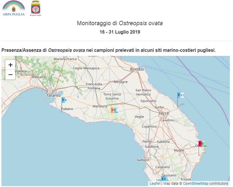 Alga tossica in Salento: nessuna emergenza, bandiera gialla a Torre Colimena secondo il monitoraggio Arpa Puglia