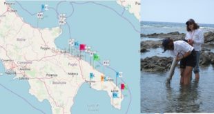 Alga tossica in Salento: nessuna emergenza, bandiera gialla a Torre Colimena secondo il monitoraggio Arpa Puglia