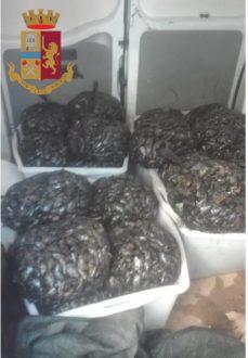 Operazione congiunta della Polizia di Stato e della Guardia Costiera, sospese due attività di ristorazione e sequestrati 24 kg di merce