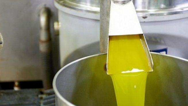 Olio d’oliva, Confagricoltura: dichiarare lo stato di crisi del settore