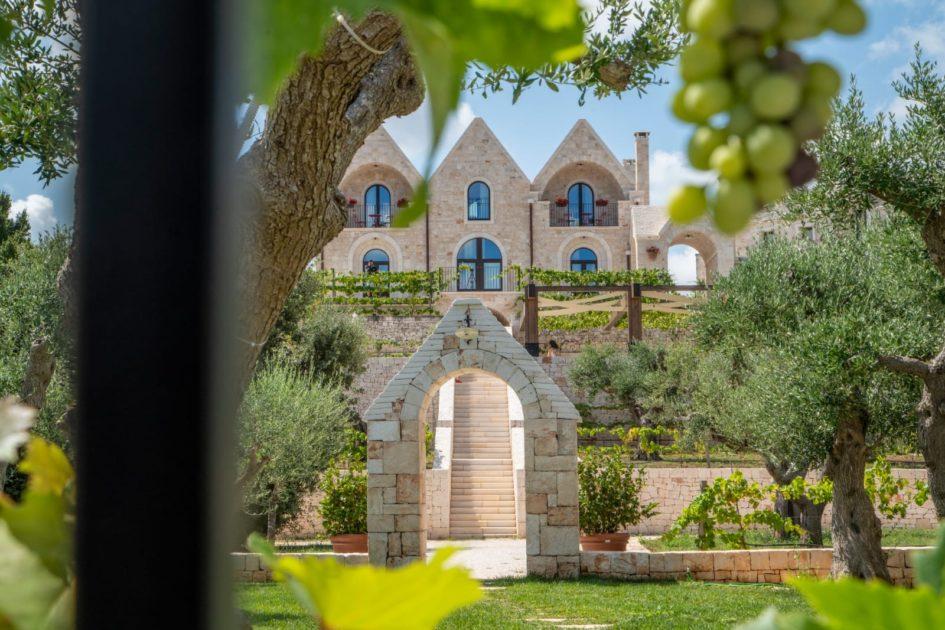 L’evento estivo delle Donne del Vino Puglia: Summerwine 2020 Green Edition. Un pic-nic speciale nella verde Valle d’Itria