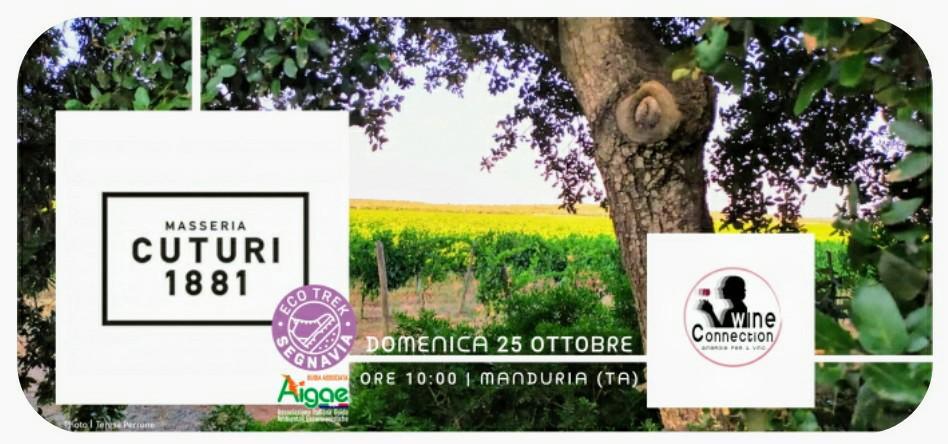 DOMENICA 25 OTTOBRE 2020 Masseria Cuturi in “Wine Trekking Experience” h.10:00, MANDURIA (TA)