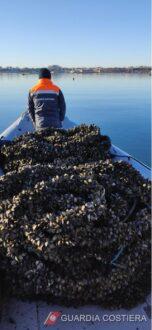 Guardia Costiera di Taranto: colpita duramente la pesca illegale