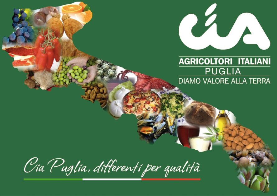 Puglia, è l’agricoltura il più grande datore di lavoro della regione. Cia Puglia: «Siamo la più grande ‘industria’ del Sud, con 112.890 addetti superiamo Ilva e Fiat»