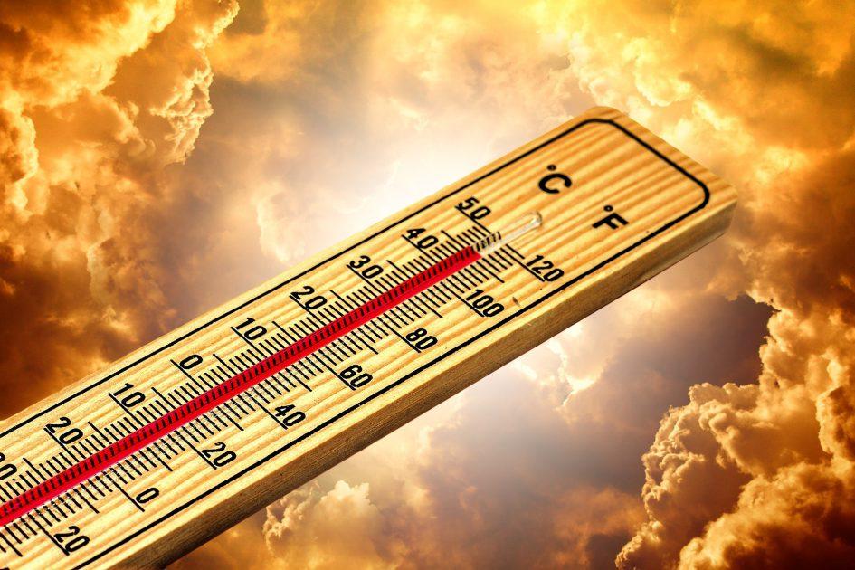Temperature oltre di 40 gradi: Puglia verso la "tropicalizzazione”