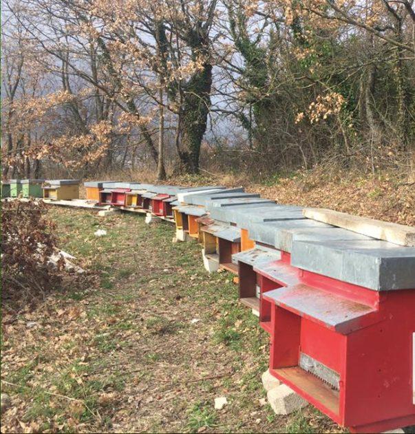  CIA Puglia alla Regione: “Stato di Calamità per l’apicoltura e le altre colture”
