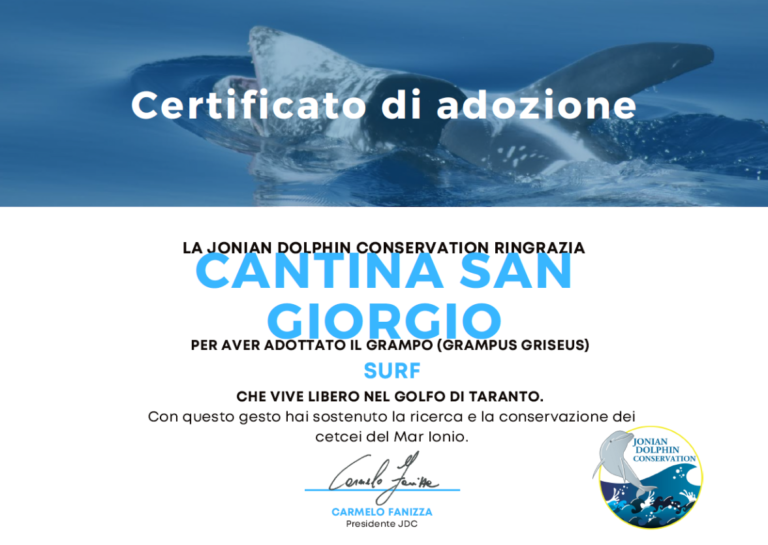 FAGGIANO - La cantina San Giorgio adotta un delfino: benvenuta Surf!
