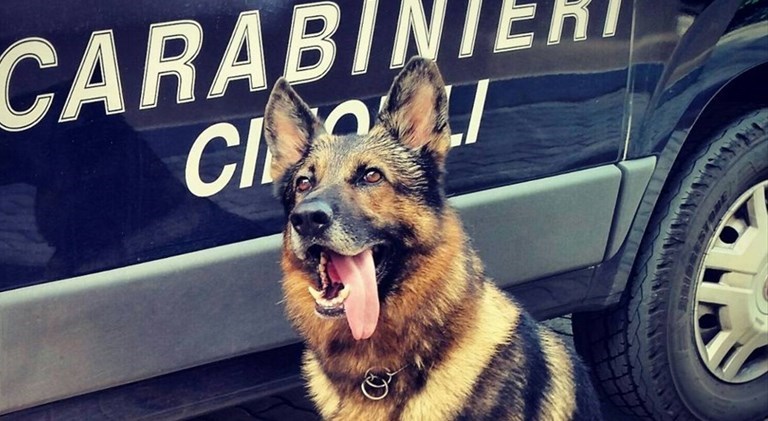 Controlli finalizzati allo spaccio di droga: denunce ad Avetrana e Pulsano