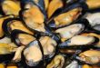 Taranto - Seminario su “La molluschicoltura in un mare che cambia. Impatto dei cambiamenti climatici”