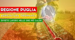 Regione Puglia lavoro agricolo "È vietato il lavoro in condizioni di esposizione prolungata al sole, dalle ore 12:30 alle ore 16:00"